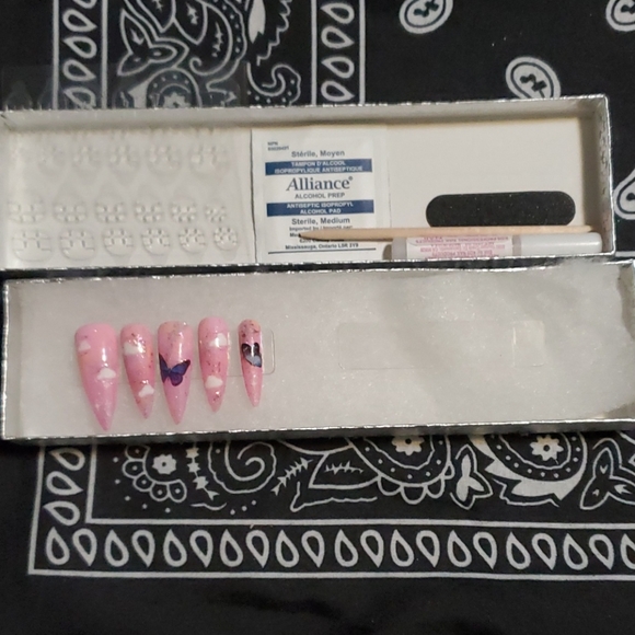 Luxury Hand Painted Butterfly Nails Long Stilletto - Picture 3 of 7